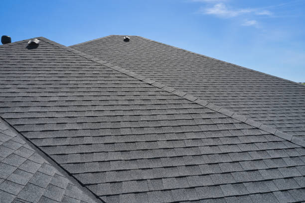 Best Skylight Installation and Repair  in Lake Jackson, TX